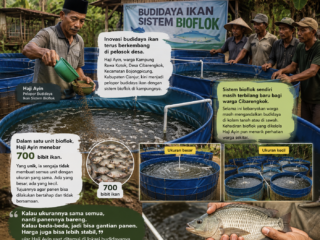 Budidaya Ikan Sistem Bioflok Haji Ayin Cibarengkok